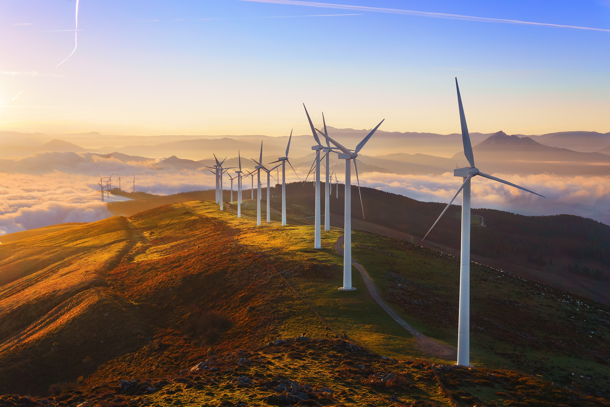 energiewirtschaft_windpark.jpg